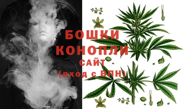 ECSTASY Новозыбков
