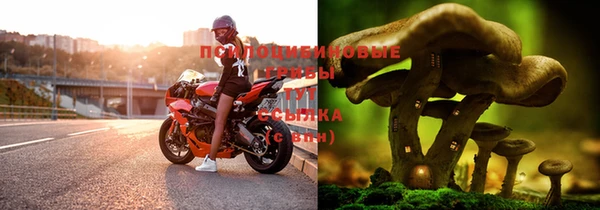 трава Нея